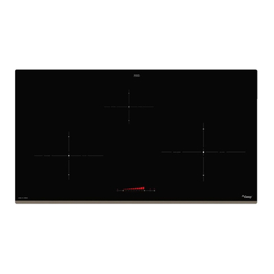 Bếp Điện Từ Canzy CZ 999DHG