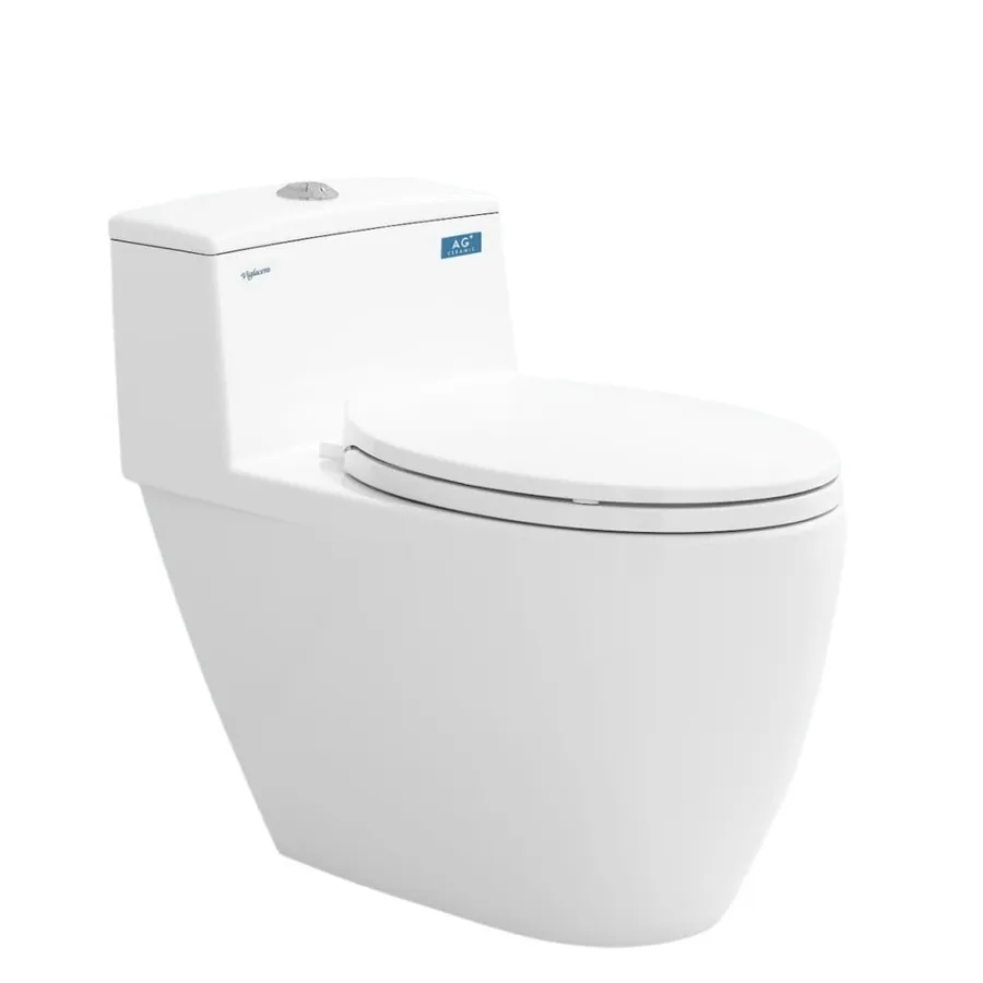 Bồn cầu 1 khối nắp rơi êm Viglacera Eco 2
