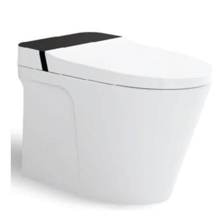 Bồn cầu điện tử Viglacera V882F