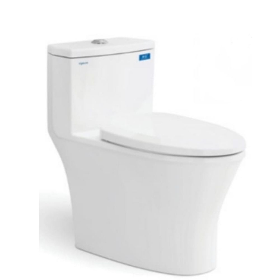 Bồn cầu 1 khối nắp rơi êm Viglacera V803