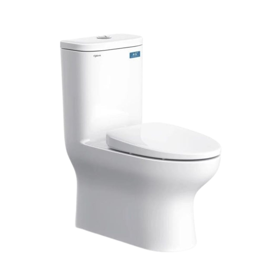 Bồn cầu 1 khối Viglacera V848