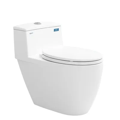 Bồn cầu 1 khối nắp rơi êm Viglacera Eco 2