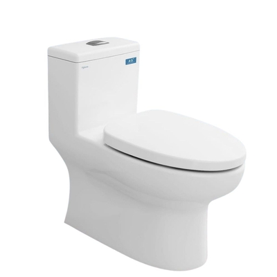 Bồn cầu 1 khối nắp rơi êm Viglacera V809