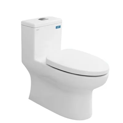 Bồn cầu 1 khối nắp rơi êm Viglacera V809