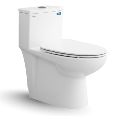 Bồn cầu 1 khối nắp rơi êm Viglacera V819