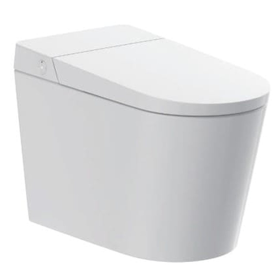 Bệt cảm ứng thông minh Aquatiz G19