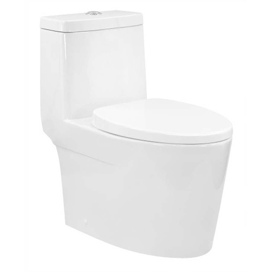 Bồn cầu 1 khối nắp rửa cơ Saguaro Adelio