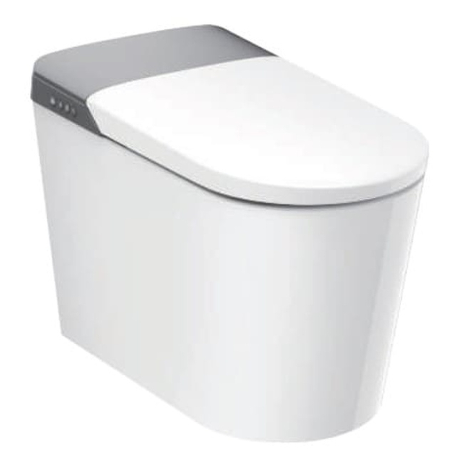 Bồn cầu điện tử thông minh Aquatiz A6P