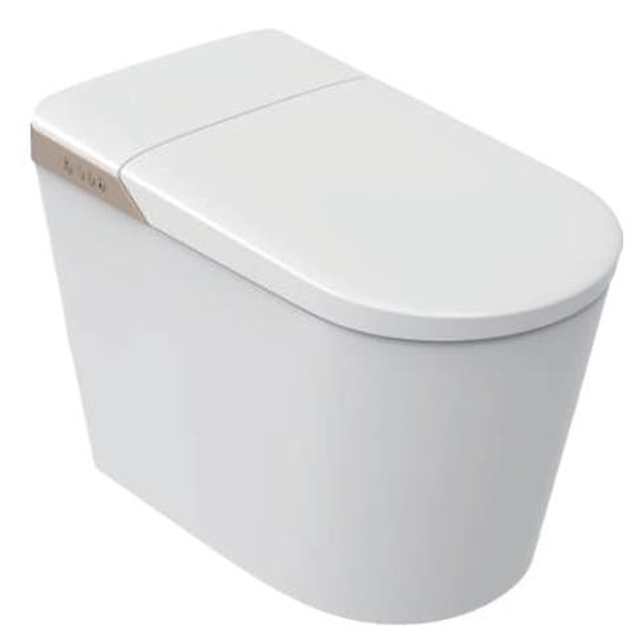 Bồn cầu điện tử thông minh Aquatiz A9CB