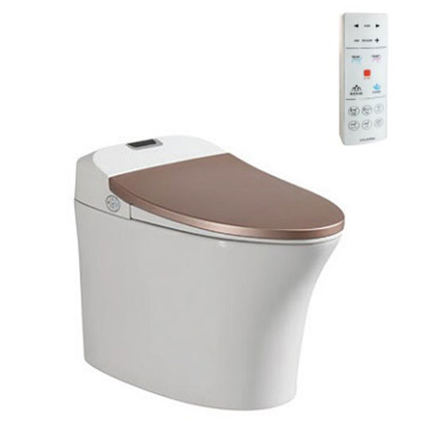 Bồn Cầu Điện Tử Thông Minh Viglacera V93.GW