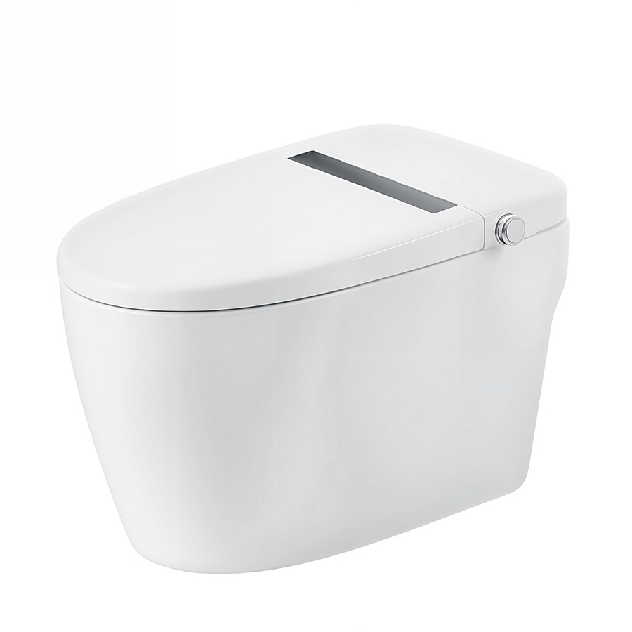 Bồn cầu thông minh BRAVAT C29001W1-3-VP 