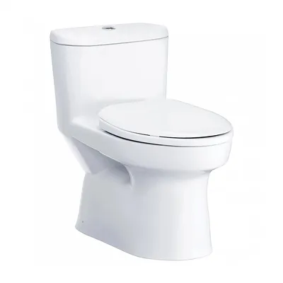 Bàn Cầu 1 Khối Nắp Êm COTTO C1015 Macc Xả Nhấn