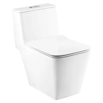 Bàn Cầu 1 Khối Nắp Êm COTTO C10327 Quado Xả Nhấn