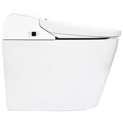 Bàn cầu điện tử thông minh Hàn Quốc Vovo TC-8100