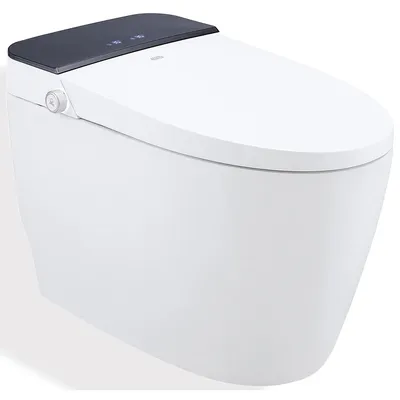 Bàn cầu thông minh Hàn Quốc Vovo TCB-8100B