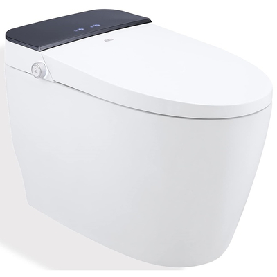 Bàn cầu thông minh Hàn Quốc Vovo TCB-8100BP