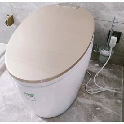 Bồn Cầu Điện Tử CleanMax ECS989VT