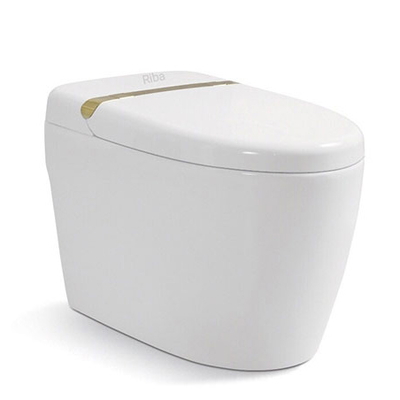 Bồn cầu điện tử thông minh Riba RB-9800