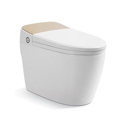 Bồn cầu điện tử thông minh Riba RB-9801