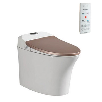 Bồn Cầu Điện Tử Thông Minh Viglacera V93.GW