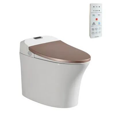 Bồn Cầu Điện Tử Thông Minh Viglacera V93.GW