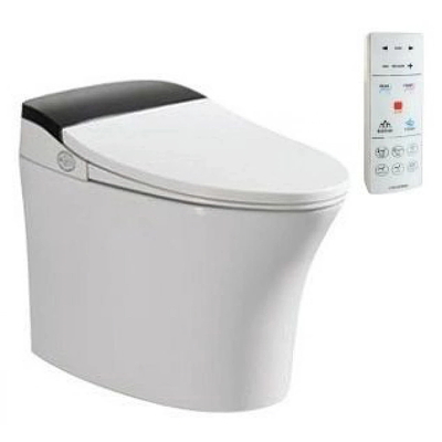  Bồn cầu điện tử thông minh Viglacera V93.WB