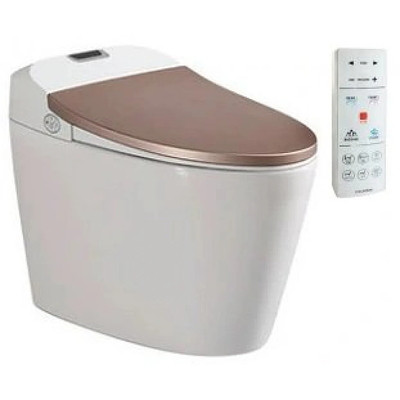  Bồn cầu điện tử thông minh Viglacera V94.GW