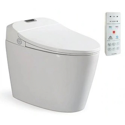  Bồn Cầu Điện Tử Thông Minh Viglacera V94