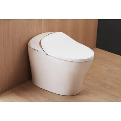 Bồn cầu thông minh BRAVAT C21186W-3C-VP