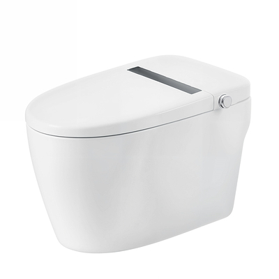 Bồn cầu thông minh BRAVAT C29001W1-3-VP 