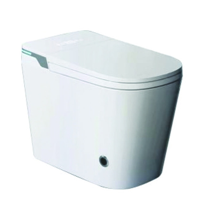 Bồn cầu thông minh có kết nước Royal RA-M6