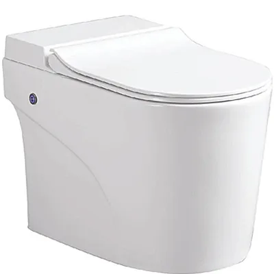 Bồn Cầu Thông Minh Huge H-BS2088