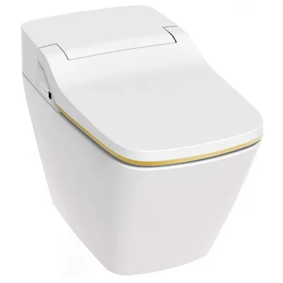 Bàn cầu thông minh Hàn Quốc Vovo TCB-9100G1