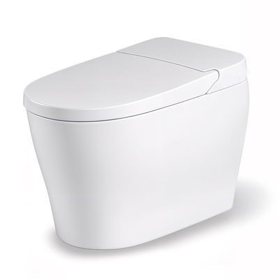 Bồn cầu thông minh BRAVAT C29019W0-3-2-ENG