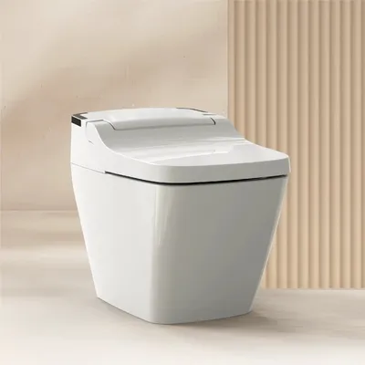 Bàn cầu thông minh Hàn Quốc Vovo TCB-090S