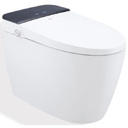 Bàn cầu thông minh Hàn Quốc Vovo TCB-8100BP