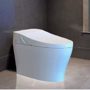 Bàn cầu thông minh Nhật Bản Arca KL-06-EN (Tự động đóng mở nắp)