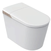 Bồn cầu điện tử thông minh Aquatiz A9CB