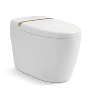 Bồn cầu điện tử thông minh Riba RB-9800