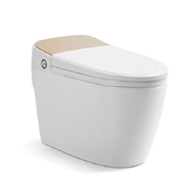 Bồn cầu điện tử thông minh Riba RB-9801