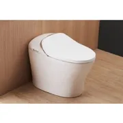 Bồn cầu thông minh BRAVAT C21186W-3C-VP