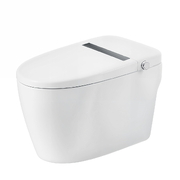 Bồn cầu thông minh BRAVAT C29001W1-3-VP 