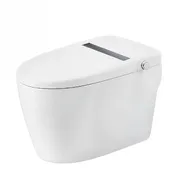 Bồn cầu thông minh BRAVAT C29001W1-3