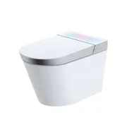 Bồn cầu thông minh BRAVAT C29016UW3-ENG 