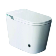 Bồn cầu thông minh có kết nước Royal RA-M6