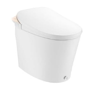 Bồn cầu thông minh Moen HKSW1294C