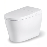 Bồn cầu thông minh BRAVAT C29019W0-3-2-ENG