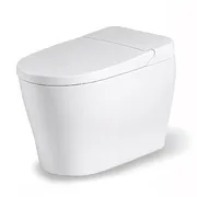 Bồn cầu thông minh BRAVAT C29019W0-3-2-ENG