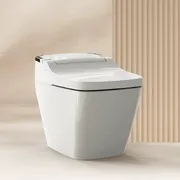 Bàn cầu thông minh Hàn Quốc Vovo TCB-090S