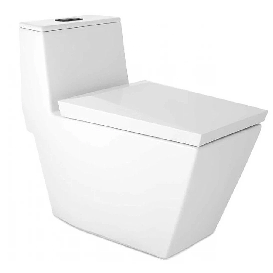 Bàn Cầu 1 Khối COTTO C102807